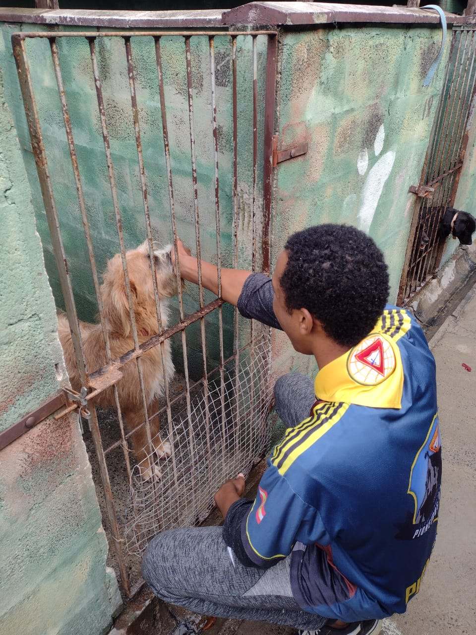 Animal resgatado pelo abrigo — momento 1